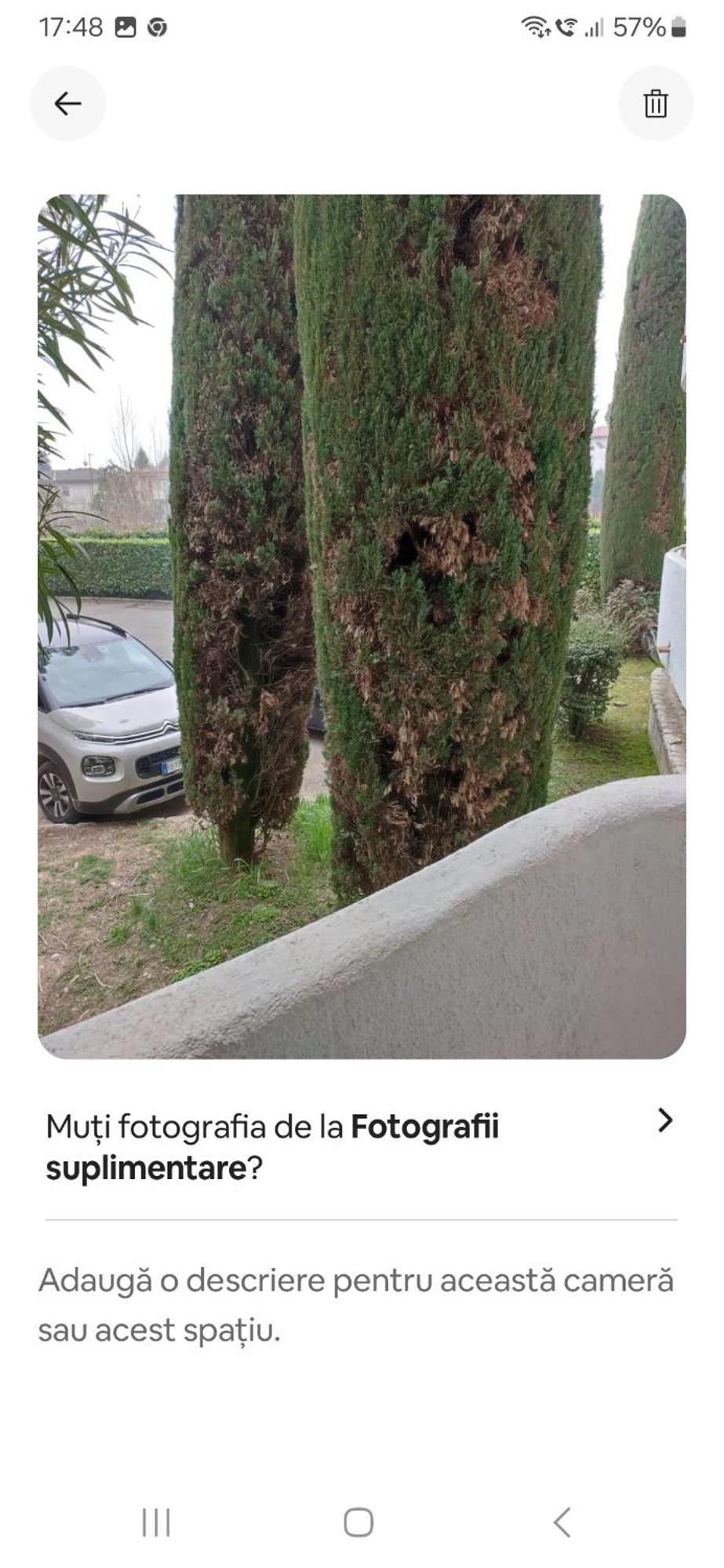Di Fronte Al *